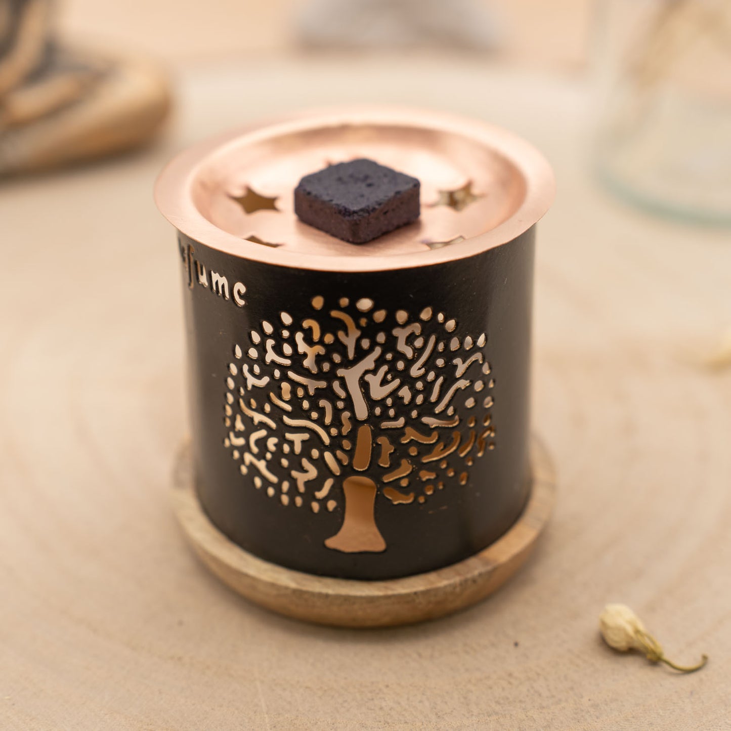 AromaFume - Brule Encens Arbre de Vie