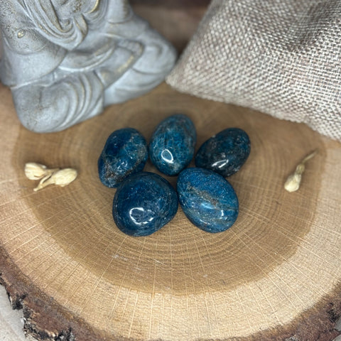 Apatite Bleue - Pierre roulée