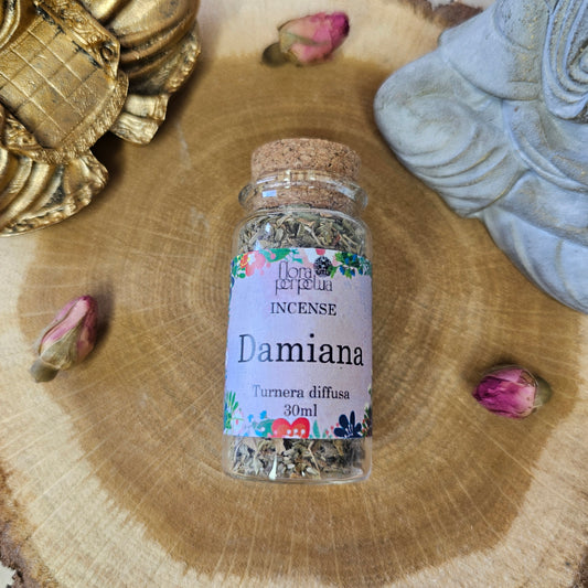 Damiana - Flora Perpetua