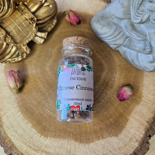 Cannelle de Chine - Flora Perpetua