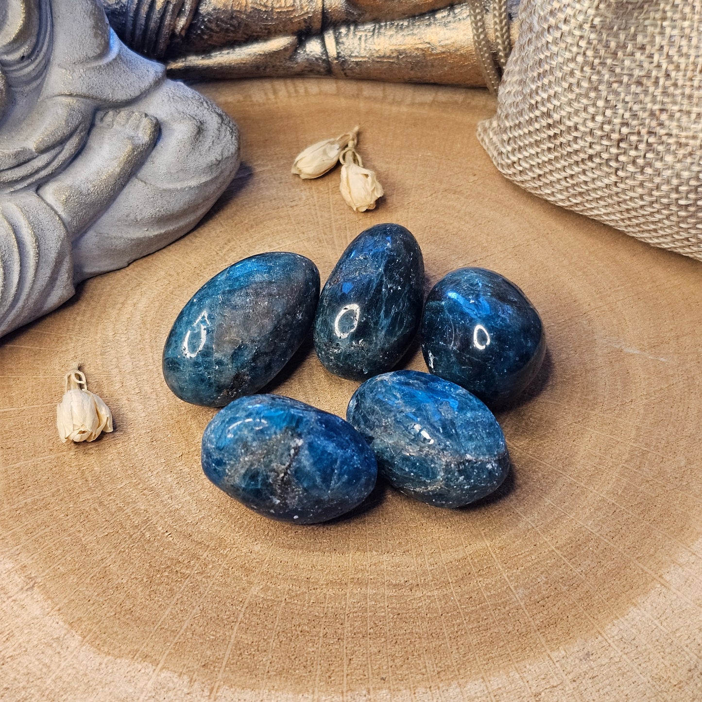 Apatite Bleue - Pierre roulée