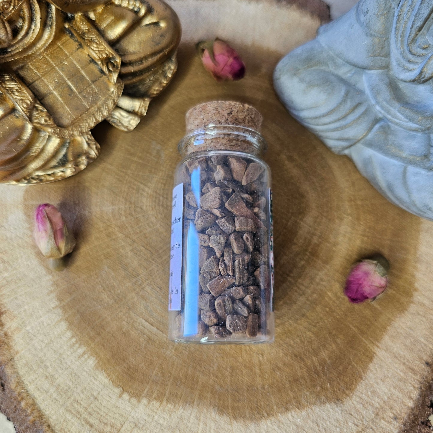 Cannelle de Chine - Flora Perpetua