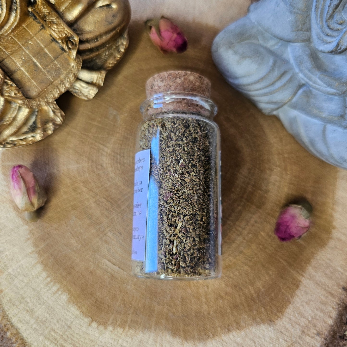 Genévrier de l'Himalaya - Flora Perpetua