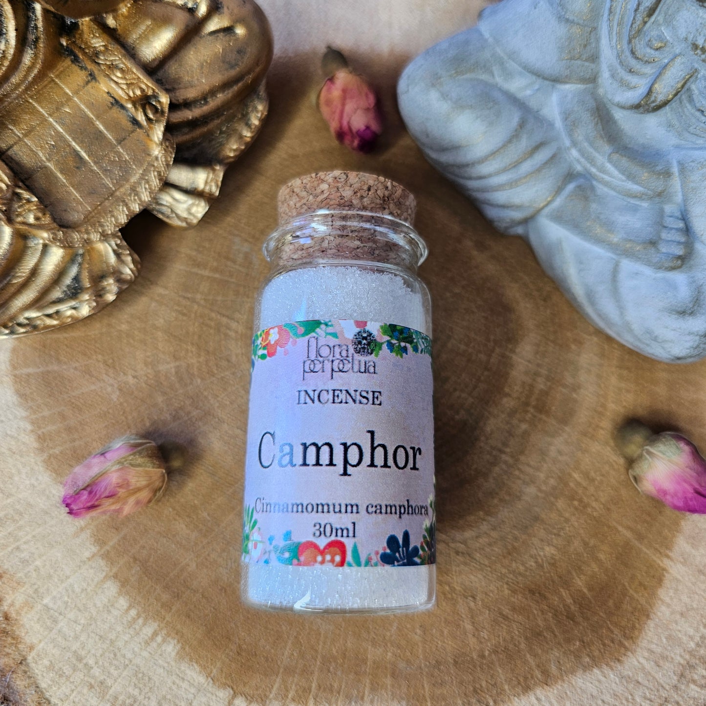 Camphre - Flora Perpetua