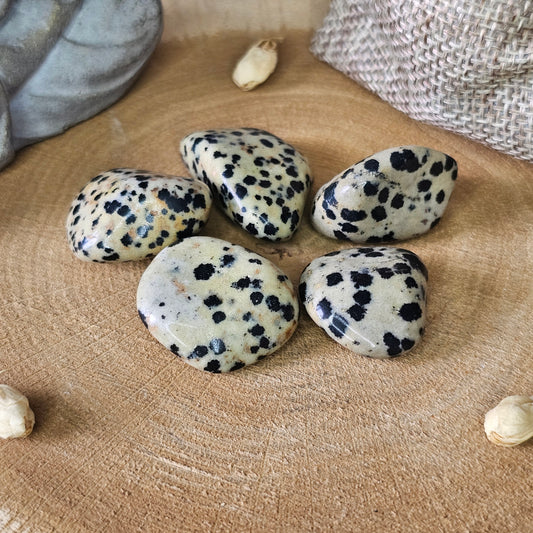 Jaspe Dalmatien - Pierre Roulée
